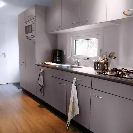 Holiday Droompark Buitenhuizen.11 * 펠선자위트